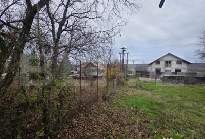 Casă cu 4 camere cu Teren 4332 Mp în Central - 1