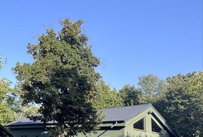 Casă cu 4 camere în Grădiștea - 7