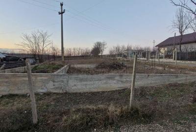 Spațiu comercial, în Erbiceni - 1