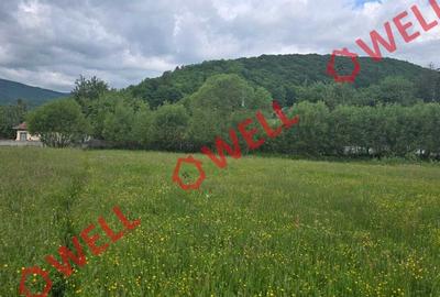 Teren extravilan de 4721 mp, în Sărămaș - 7