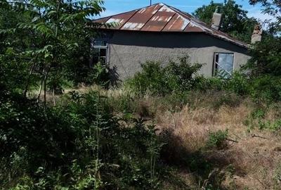 Spațiu comercial, în Podgoria - 1