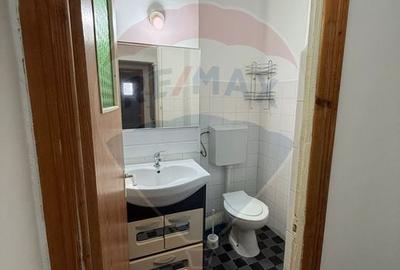 Apartament 3 camere de inchiriat Lapus-Arges - 9