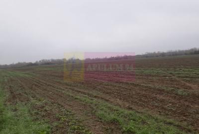 Teren Investiție aproape de București - 6