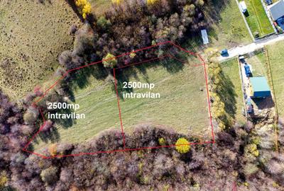 Teren Construcții intravilan de 2500 mp, în Tohănița - 1