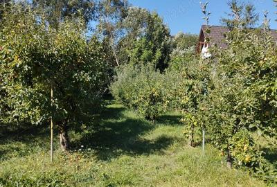 Breaza, teren 1705 mp sau lotizat, zona insorita - 3