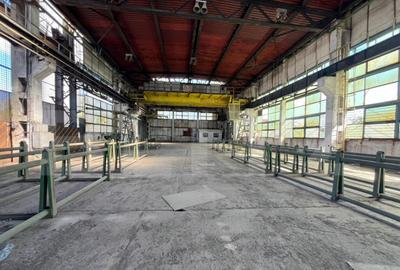 Hala industriala de inchiriat 1.000 mp + teren 5.000 - 21