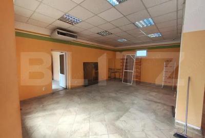 Casa de vanzare in Biharia - 15