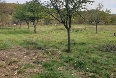 Casă cu Teren 3600 Mp în Balotești - 3