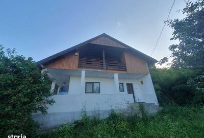 Teren de 16000 mp, în Todirești - 3