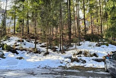 Teren de 835 mp, în Furnica - 2