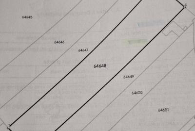 Spațiu comercial, în Brădești - 3