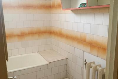 Apartament 1 camera, parter inalt, zona Precista - 9