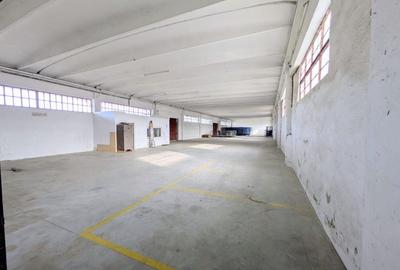 Hala + Platforma betonata - Zona de sud - Comision 0% - 4