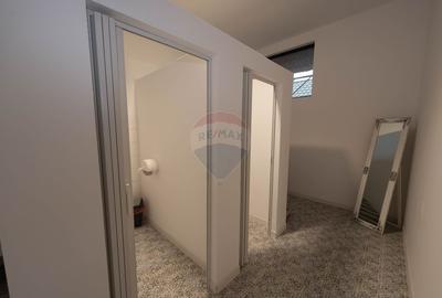 Vila cu curte de inchiriat- sector 1 - 19