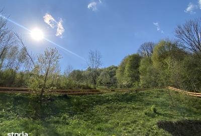 Teren de 4360 mp, în Valea Doftanei - 9