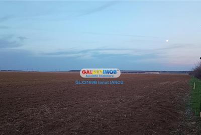 Teren de 3544 mp, în Tunari - 1