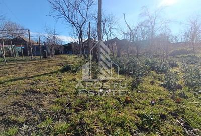 Casă cu 5 camere cu Teren 2158 Mp în Freidorf - 9