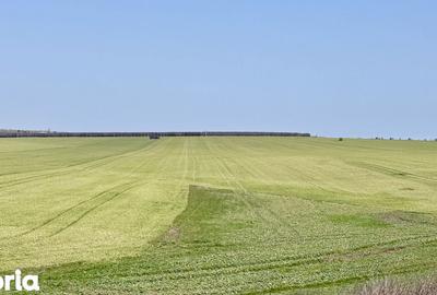 Teren de 444 mp, în Central - 11