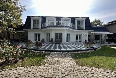 Vila individuala, teren 3000 mp, Iancu Nicolae - 11