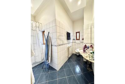 REA0123759 Capitale de vanzare 2 Apartamente plus Pod - 25