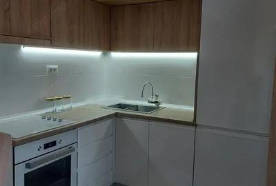 Apartament o camera zona Badea Cartan - 1