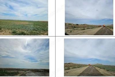 Teren de 9000 mp, în Horia - 4