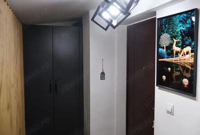 Apartament cu 2 camere în Pantelimon - 4