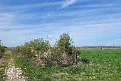 Teren de 22500 mp, în Măureni - 1