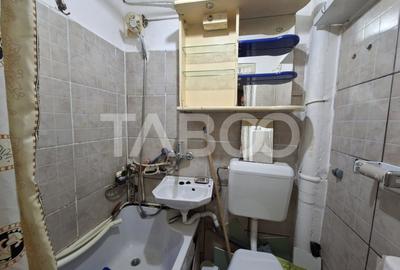 Apartament de vanzare 2 camere etaj intermediar Profi Tiglari - 9