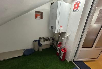 Casă individuală cu 12 camere cu Canalizare în Crișan - 18