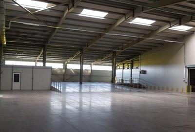 Inchiriere spații cu suprafețe între 600 mp și 3.000 mp /  Logistics park Inchiriere spații cu suprafețe între 600 mp și 3.000 mp /  Logistics park - 7