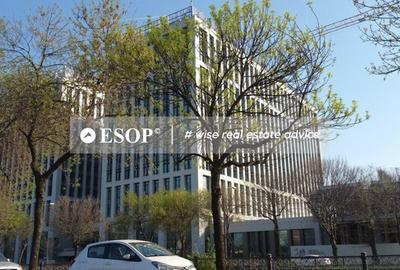 Spațiu comercial, de 800 mp, în Timpuri Noi - 6