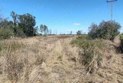 Teren de 2441 mp, în Jugureni - 3