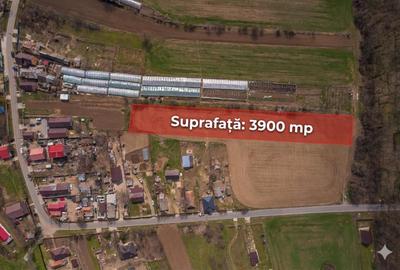 Teren Construcții intravilan de 3876 mp, în Balta Neagră - 2