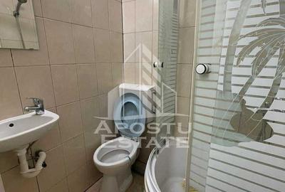 Garsoniera renovata , etajul 2, zona Buziasului - 5