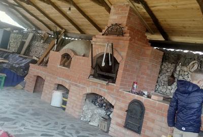 Casă cu 2 camere în Ciugud - 7