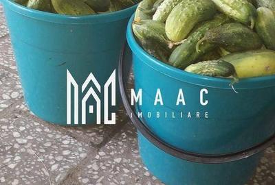 Casă cu 4 camere cu Teren 60000 Mp în Central - 18