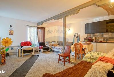 Spațiu comercial, de 750 mp, în Sohodol - 7