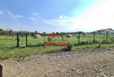 Teren intravilan in Campina, 7500mp--35e - 5