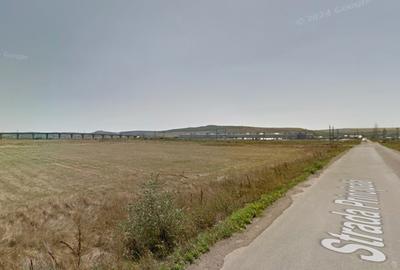 Teren Construcții intravilan de 7000 mp, în Exterior Vest - 5