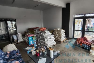 Casă individuală cu 9 camere cu Teren 300 Mp în Frumușani - 3