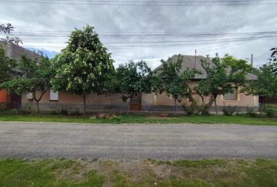 Casa de vanzare in Pecica - 4