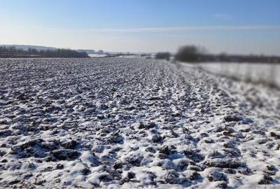 Teren de 10000 mp, în Păulești - 6
