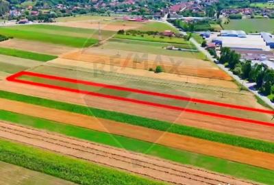 Teren de 7000 mp, în Teliu - 1