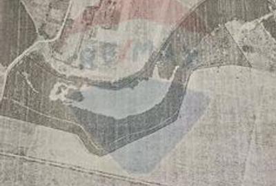 Teren extravilan de 129700 mp, în Iepurești - 16