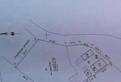 Casă cu Teren 2472 Mp în Burzuc - 6