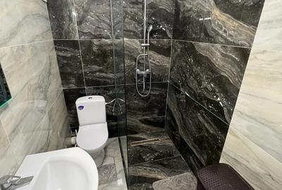 Apartament cu 2 camere semidecomandat, mobilat în Bucureștii Noi - 6