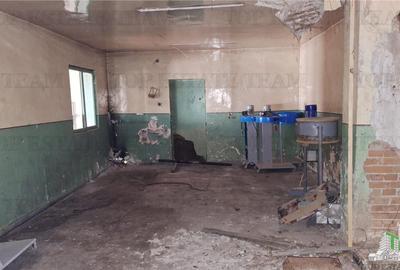 Teren intravilan semicentral Piatra Neamt Teren intravilan semicentral Piatra Neamt - 20