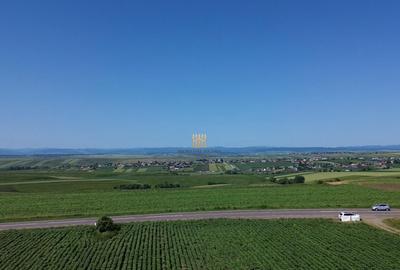 Teren de 36977 mp, în Central - 4