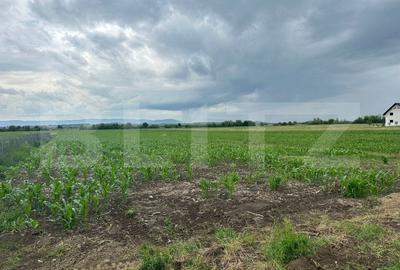 Teren intravilan ,4900 mp , 25ml front, Fratautii Vechi, Radauti - 6